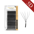 Extensions de Cils Volume Signature™ – Effet Éventail Naturel & Regard Intensément Sublimé