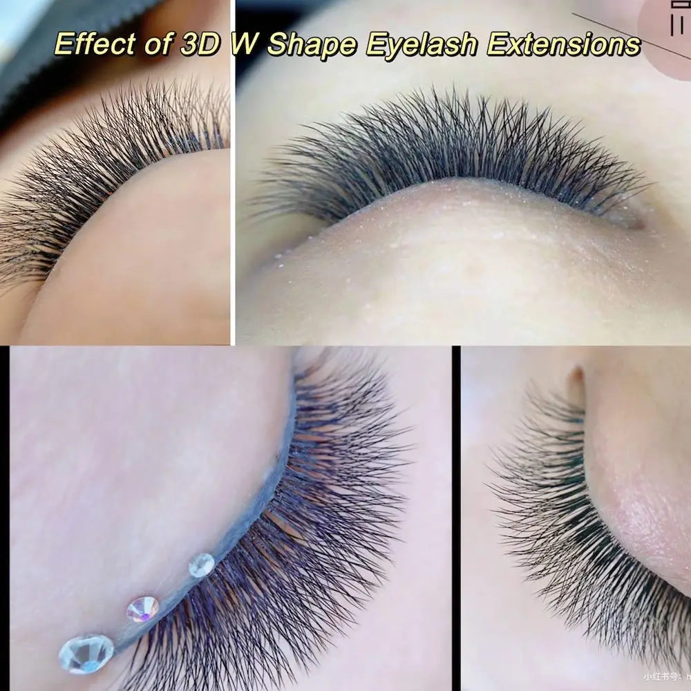 Extensions de Cils Volume Signature™ – Effet Éventail Naturel & Regard Intensément Sublimé
